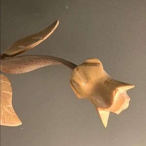 Meet your Posher, Charlotte